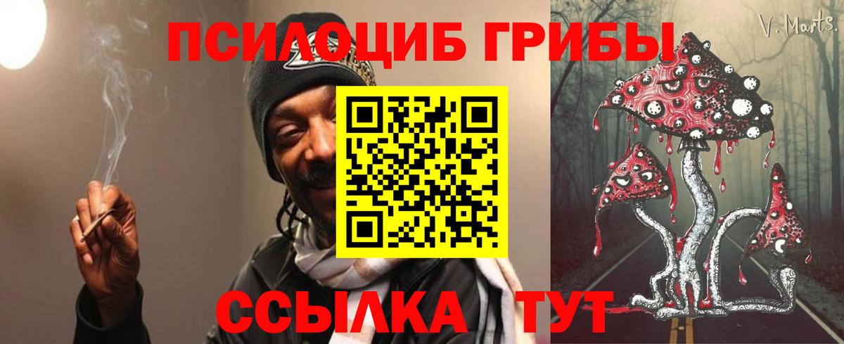 Лесосибирск  Псилоцибиновые грибы GOLDEN TEACHER  Вход с VPN 