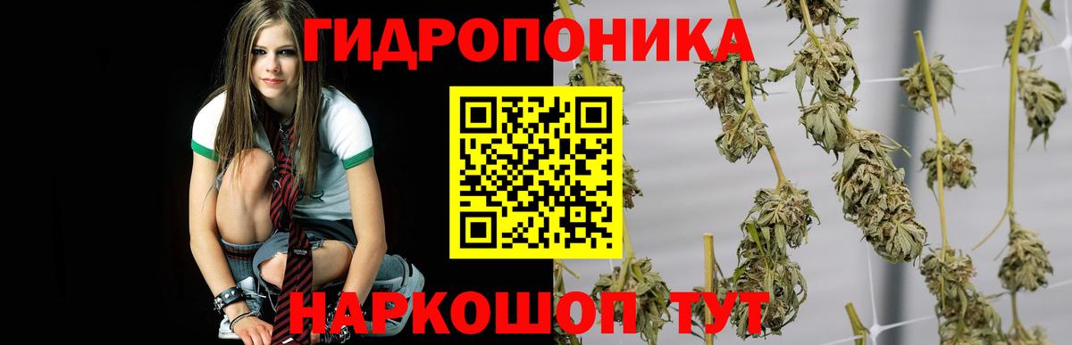 Конопля тримм Лесосибирск